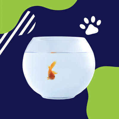 PECES