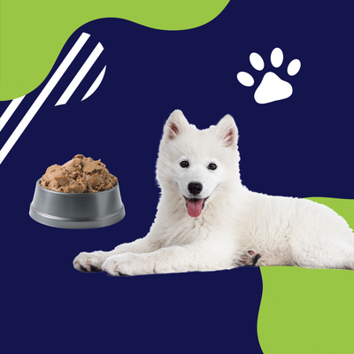 Alimento Humedo Para Perros