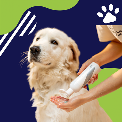 Estetica e higiene para perros