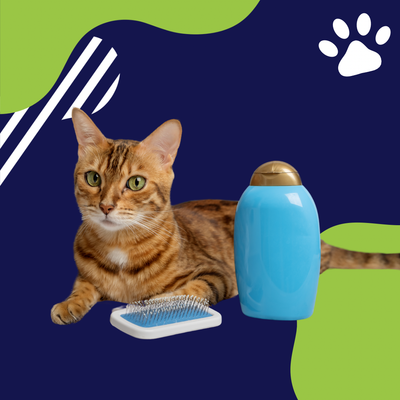 Estetica e higiene para gatos