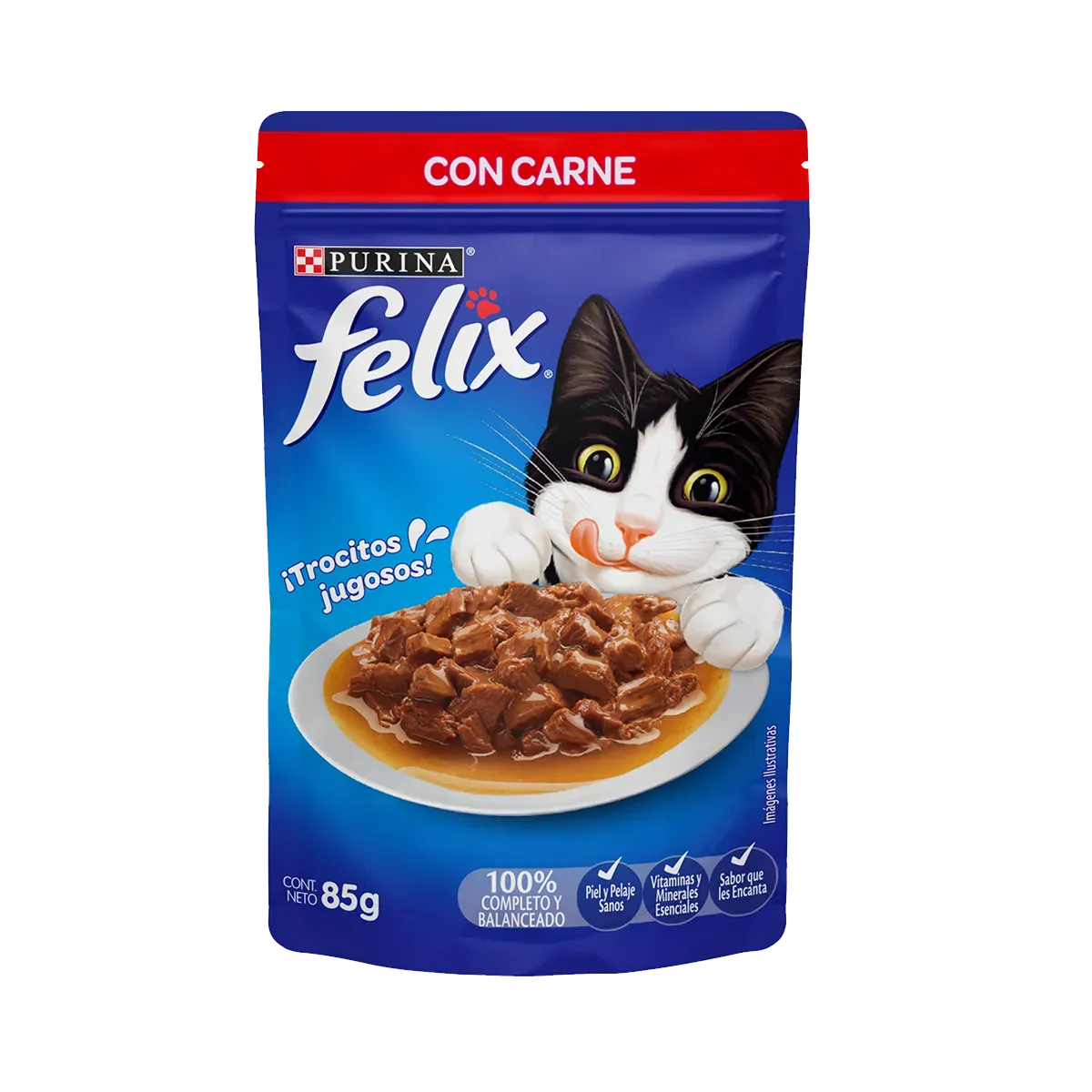 SOBRE FELIX CARNE