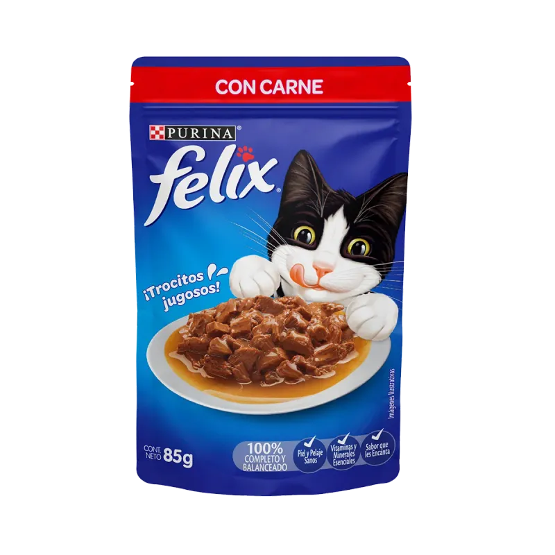 SOBRE FELIX CARNE