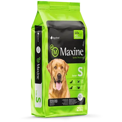 MAXINE SENIOR 21 KG