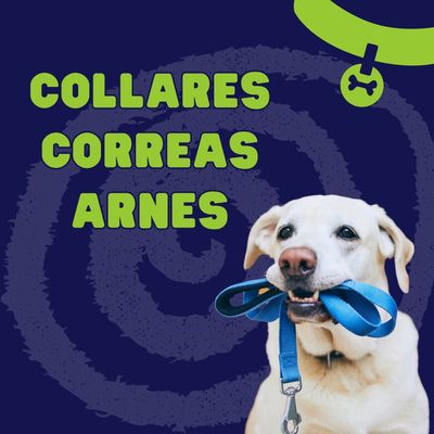 Collares, Correas y Arnes