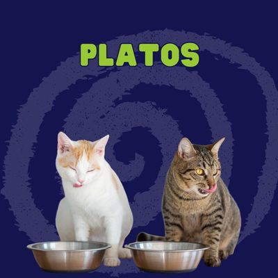 Platos