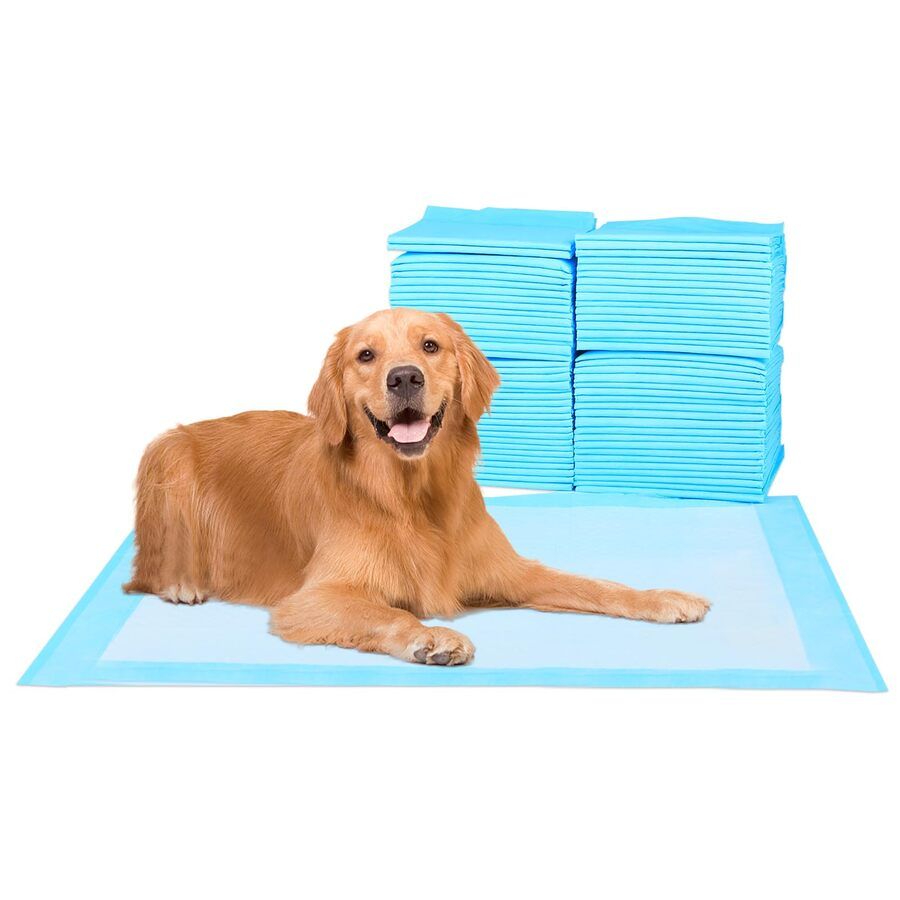 PET TRAINING PAD CAJA X 50 UNIDADES