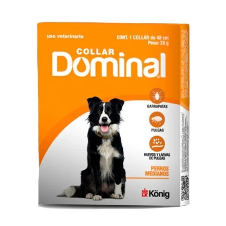 COLLAR DOMINAL MEDIANO