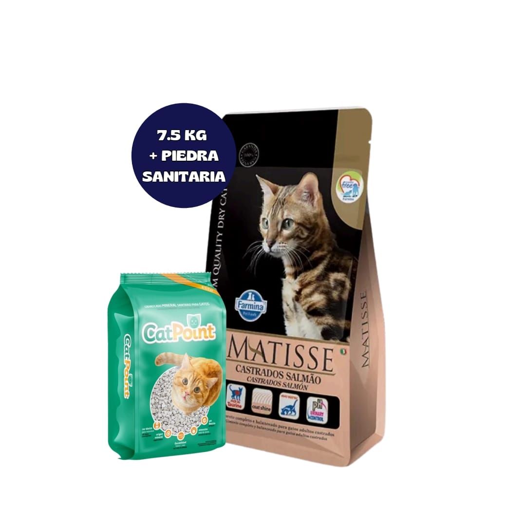MATISSE CASTRADO SALMON 7.5 + CAT POINT DE REGALO!