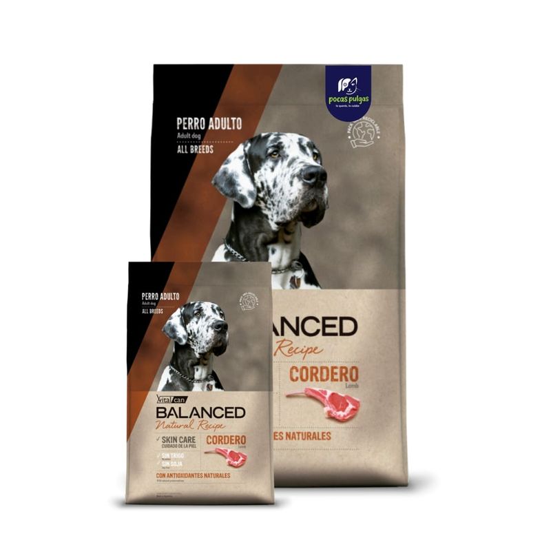 BALANCED NATURAL RECIPE CORDERO 15 KG