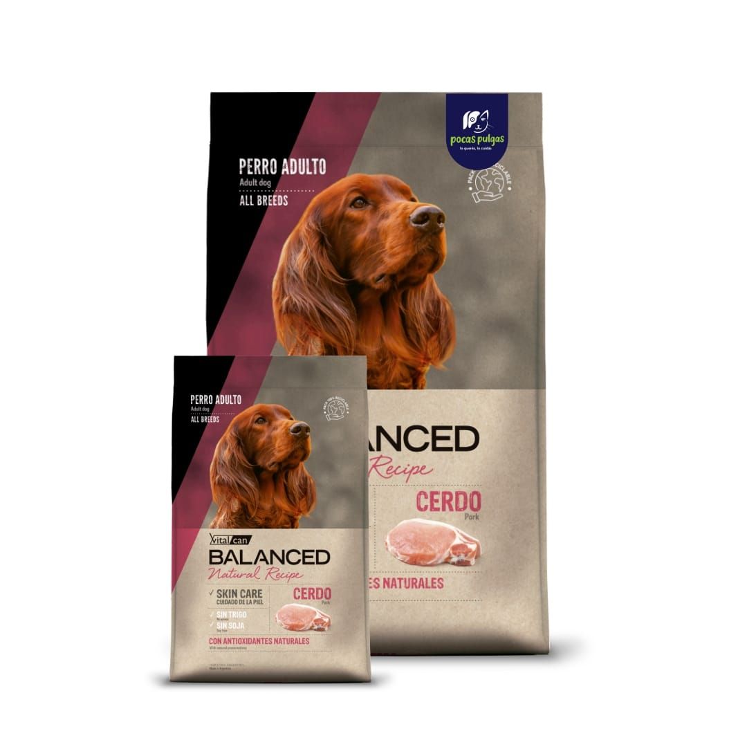 BALANCED NATURAL RECIPE CERDO  15 KG +  3 KG DE REGALO!