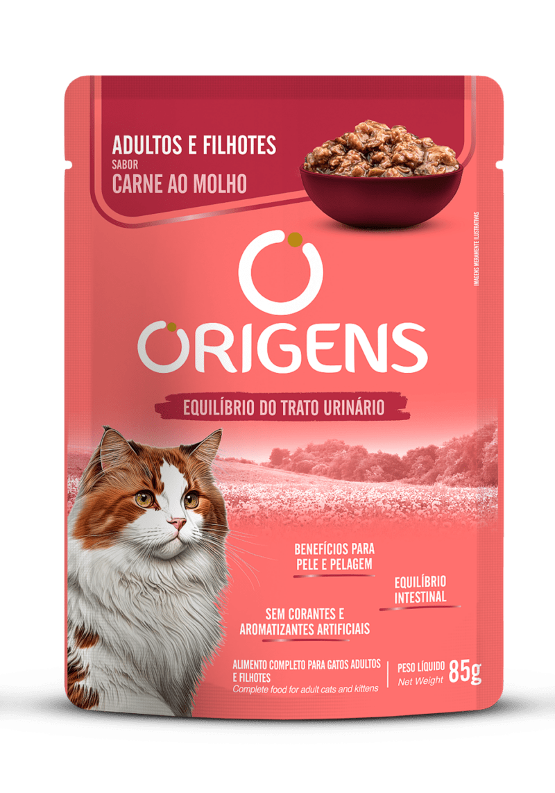 SOBRE ORIGENS GATO ADULTO Y GATITO