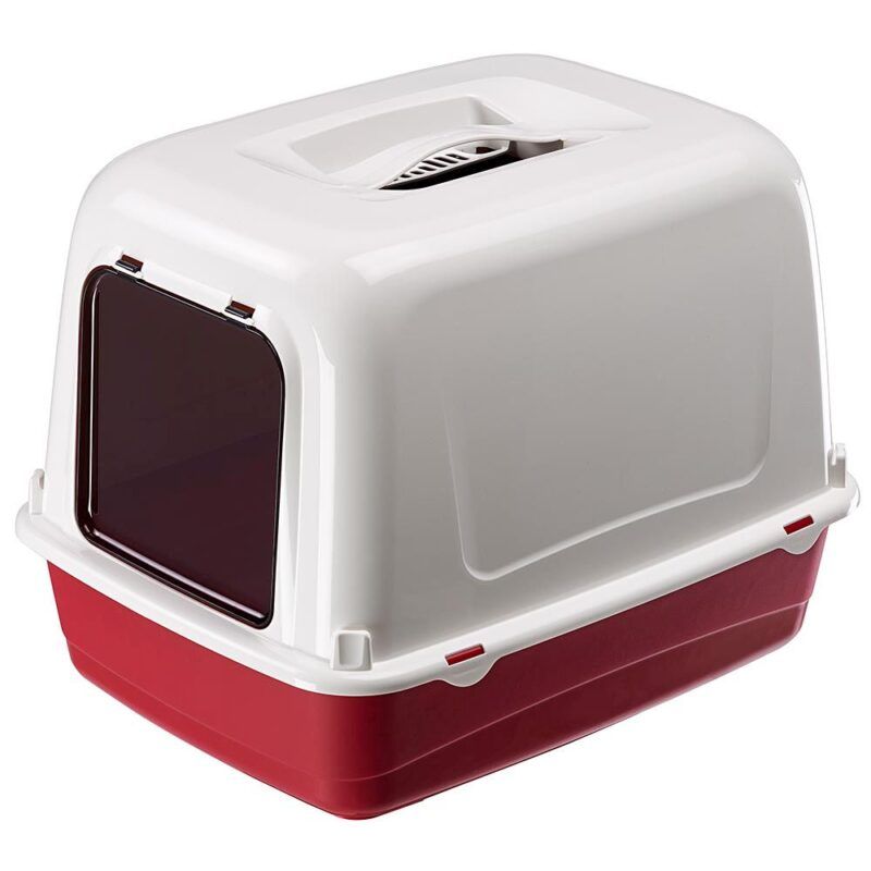 TRANSPORTADORA CLEAN CAT 10