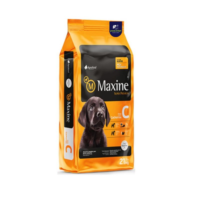 MAXINE CACHORRO 21KG