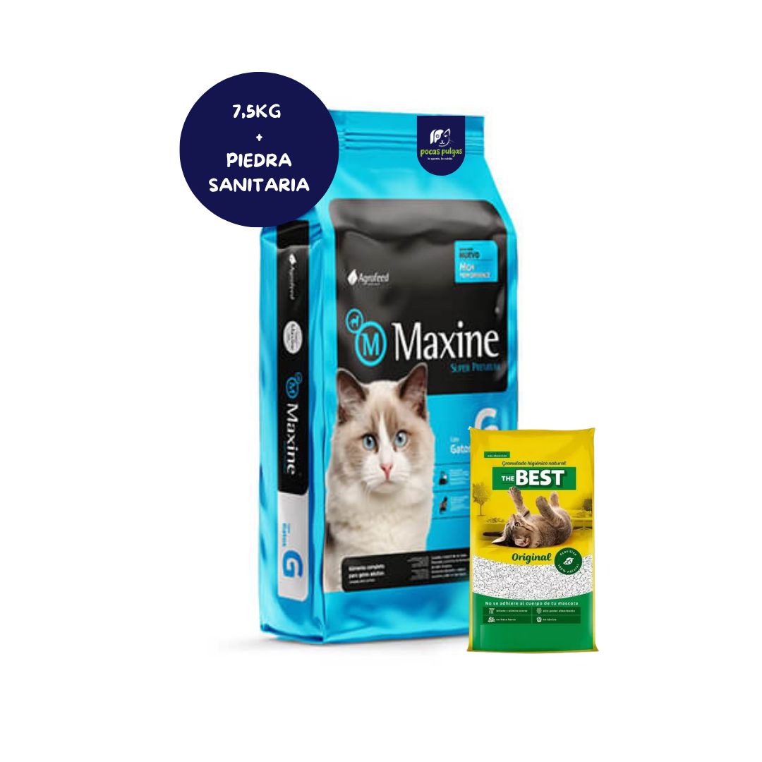 MAXINE GATO ADULTO 7.5 + THE BEST DE REGALO !