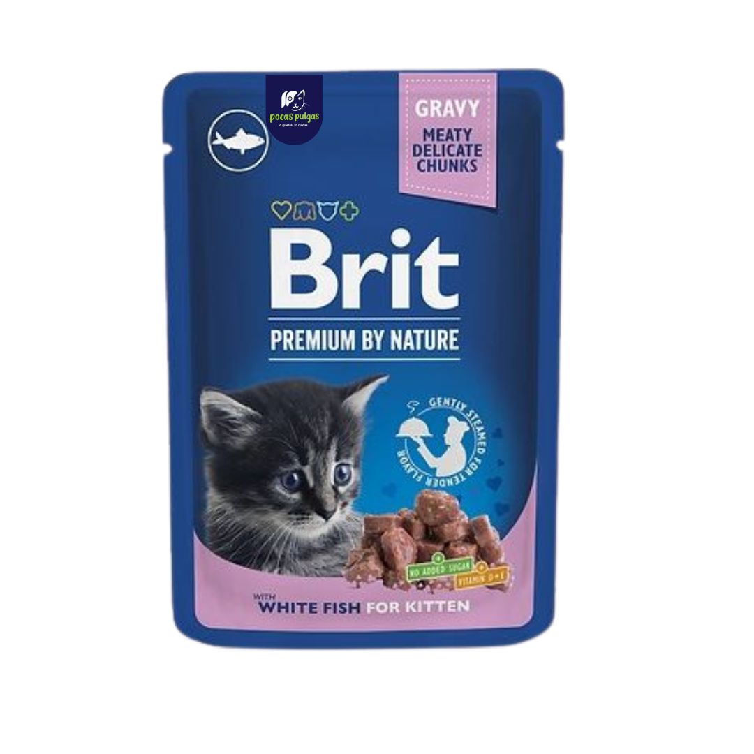 SOBRE BRIT KITTEN