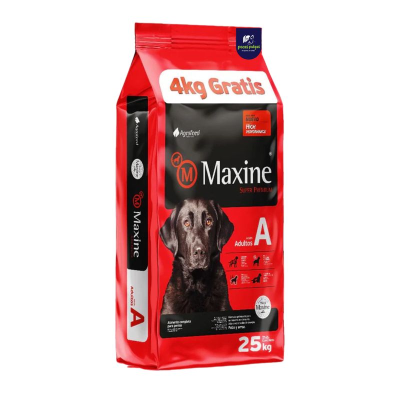MAXINE ADULTO 21 + 4 KG