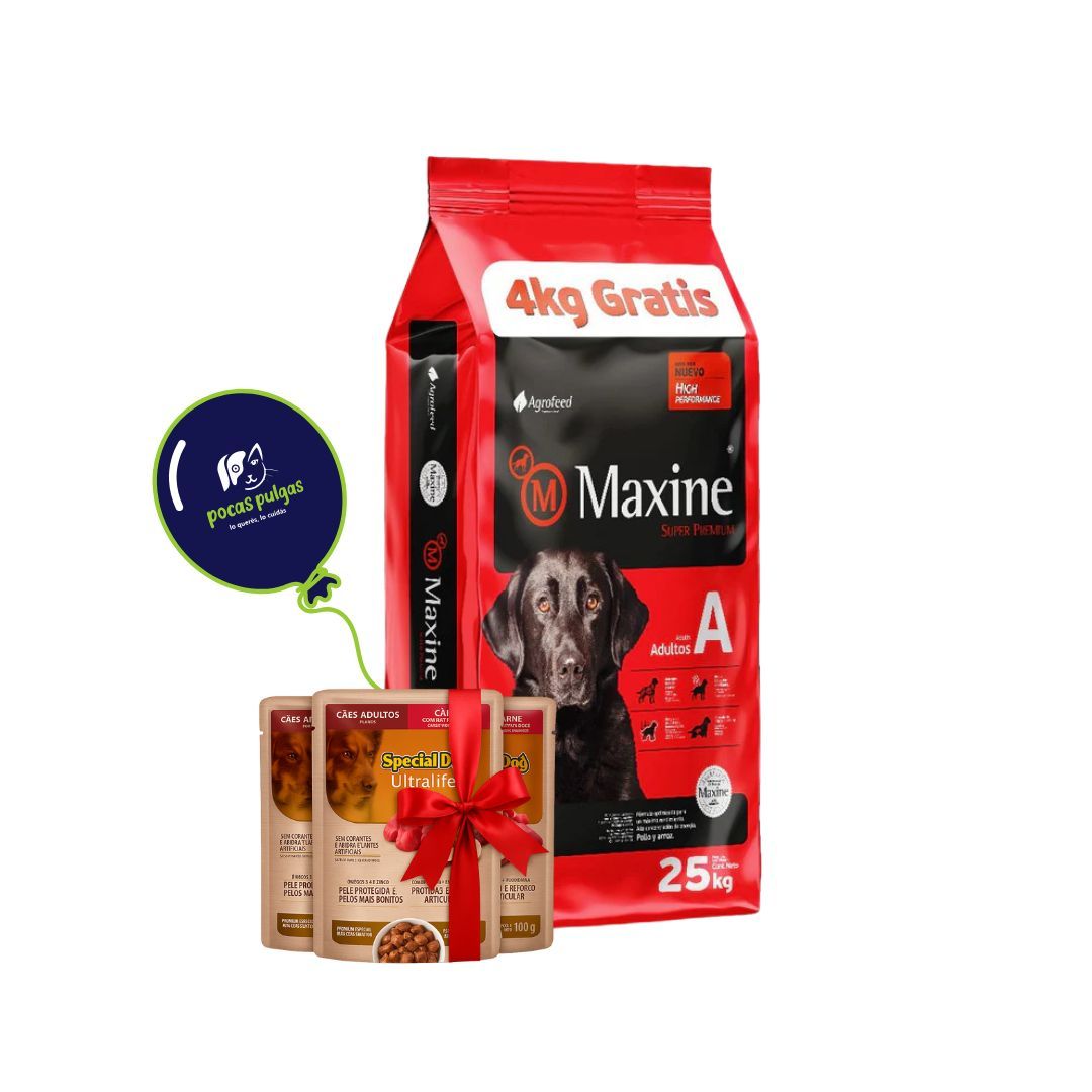 MAXINE ADULTO 21 + 4 KG