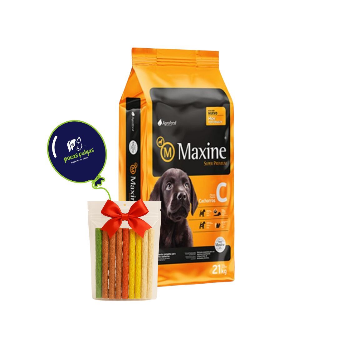 MAXINE CACHORRO 21KG