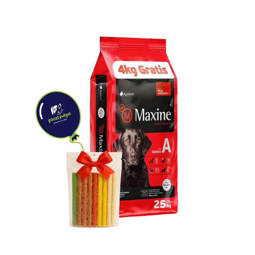 MAXINE ADULTO 21 + 4 KG