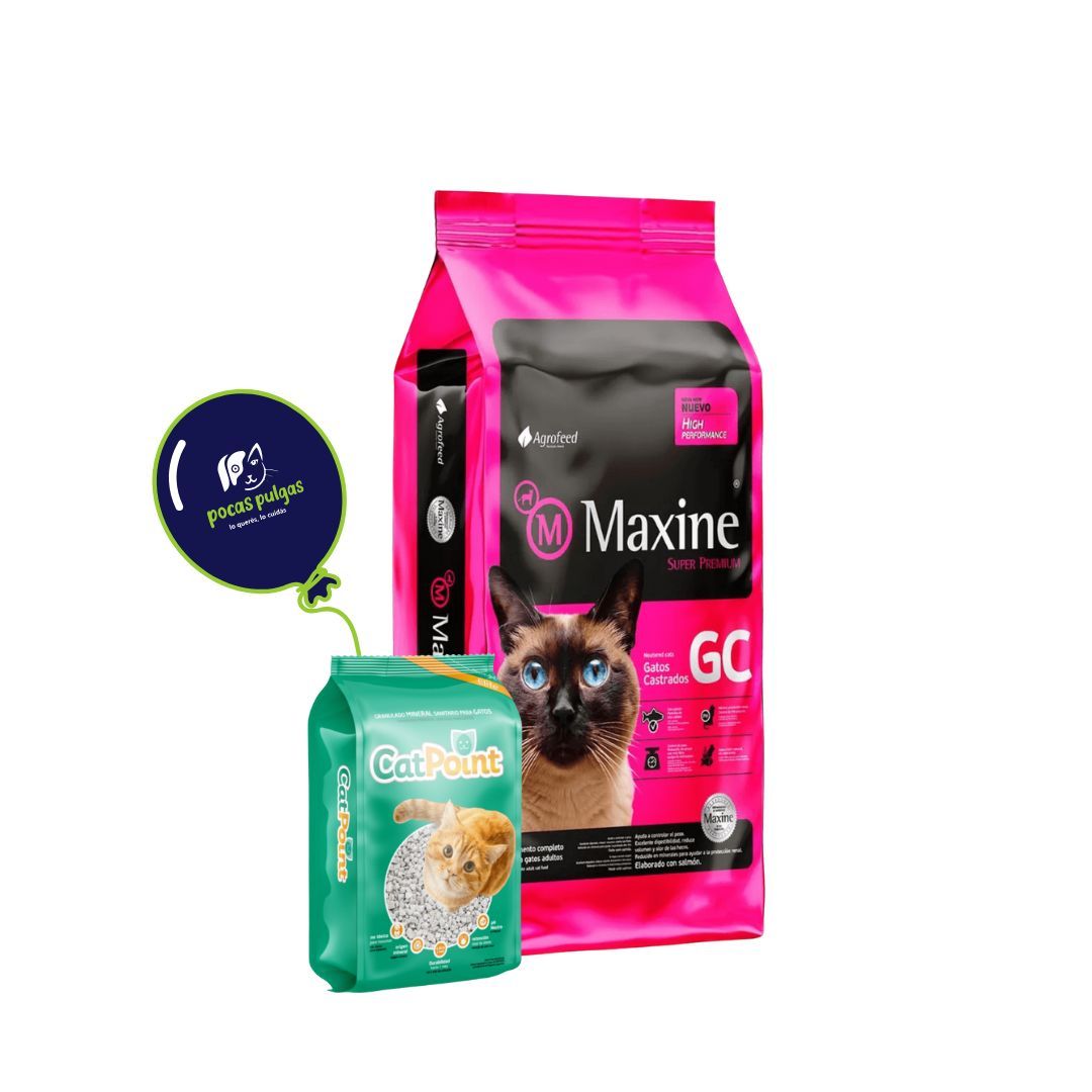 MAXINE GATO CASTRADO 7.5 KG + CAT POINT DE REGALO!