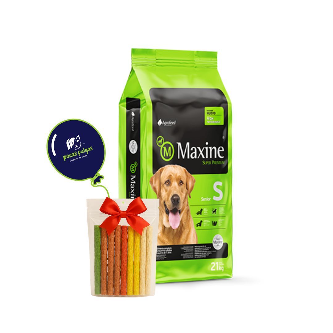 MAXINE SENIOR 21 KG