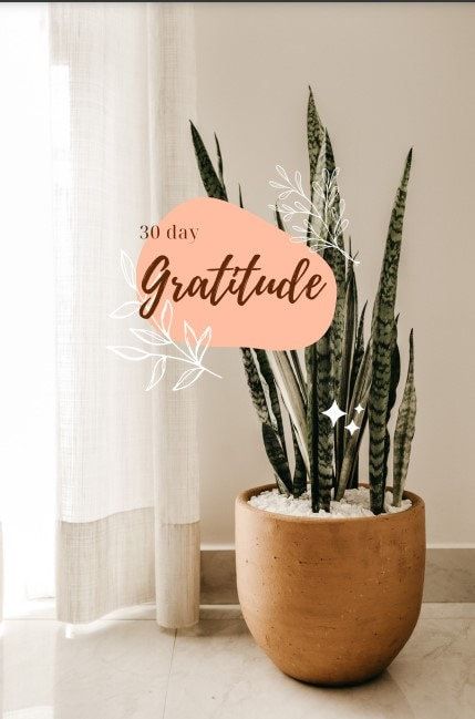 30 Day Digital Daily Gratitude Journal