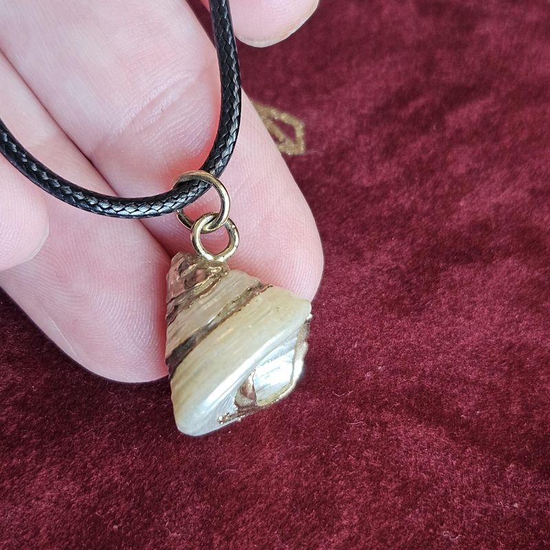 Mystical Watersong Shell Necklace