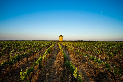 Crus Communaux