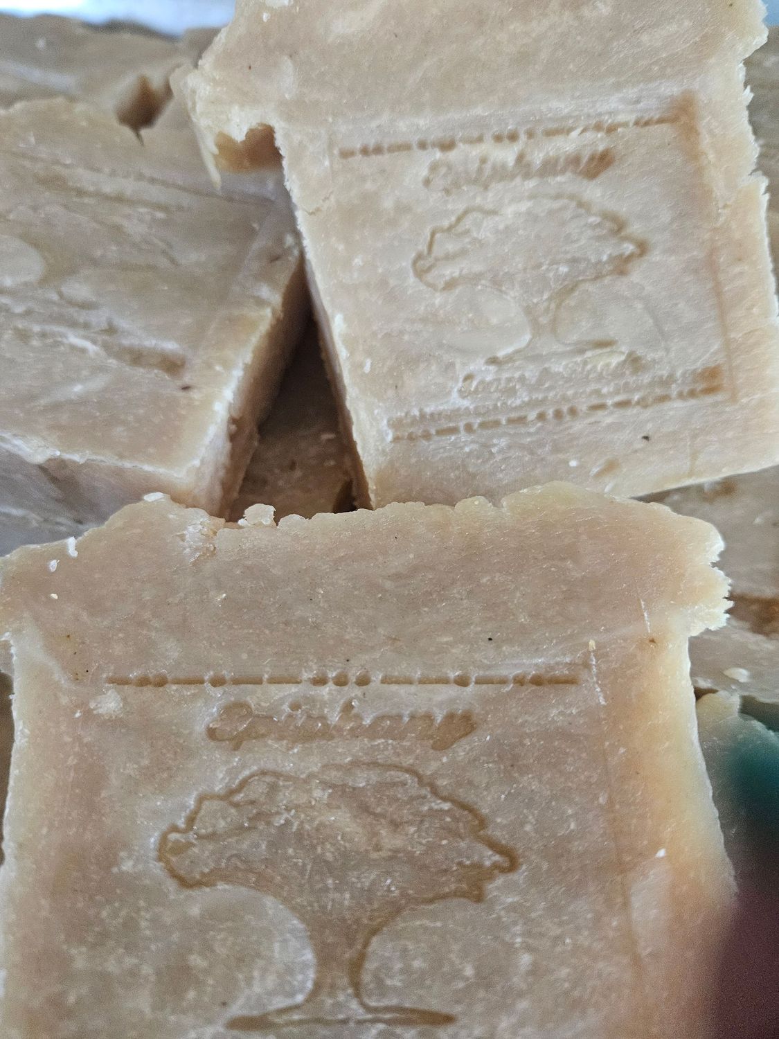 Organic Coconut With Pure Coconut Oil Soap
