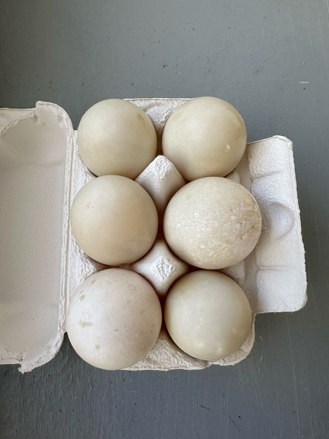 6 Count Duck Eggs