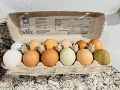 Eggs