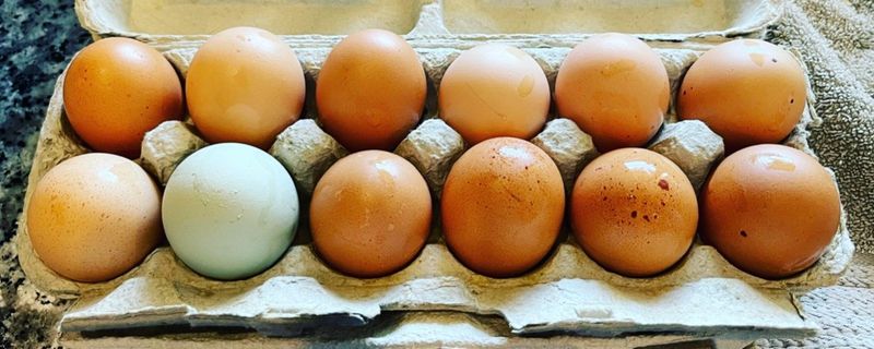 Farm Fresh Eggs (12-count)