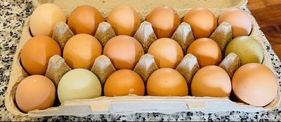 Egg Subscription (18 count)