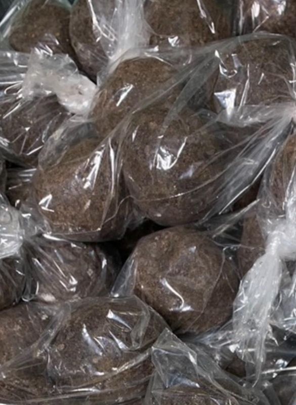 Chokola Boule pake 12  (Free Shipping)