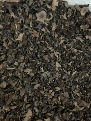 Djondjon Haiti  (Free Shipping)
