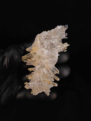 Golden Healer Quartz