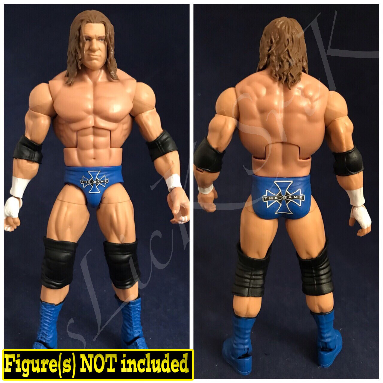 Triple H: WWE Bad Blood (2003)