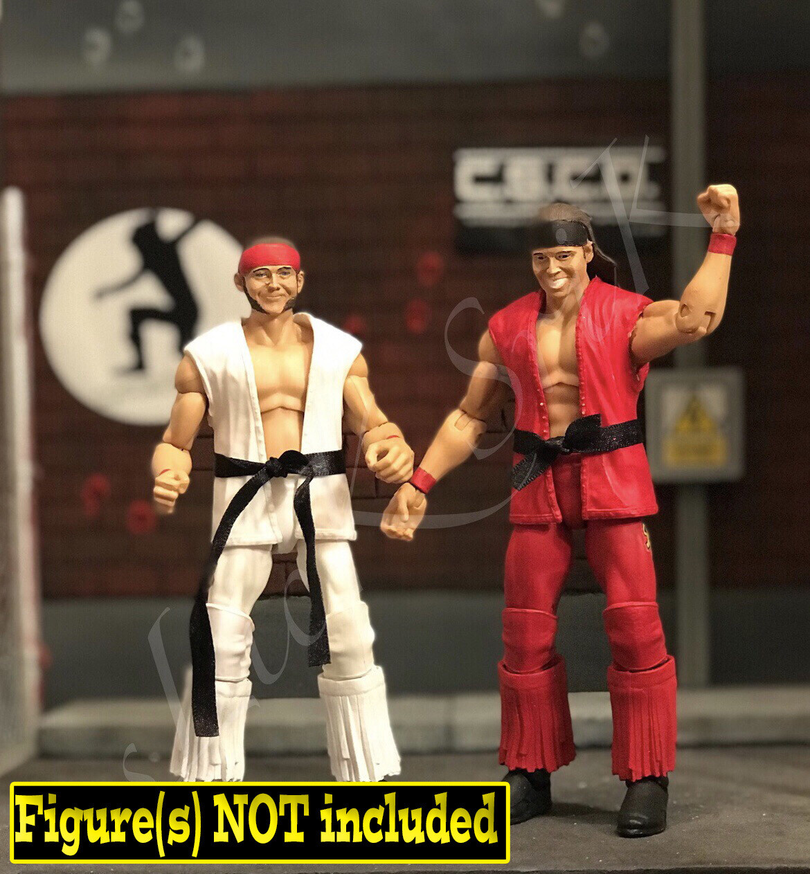 Young Bucks: Wrestle Fest (2019)