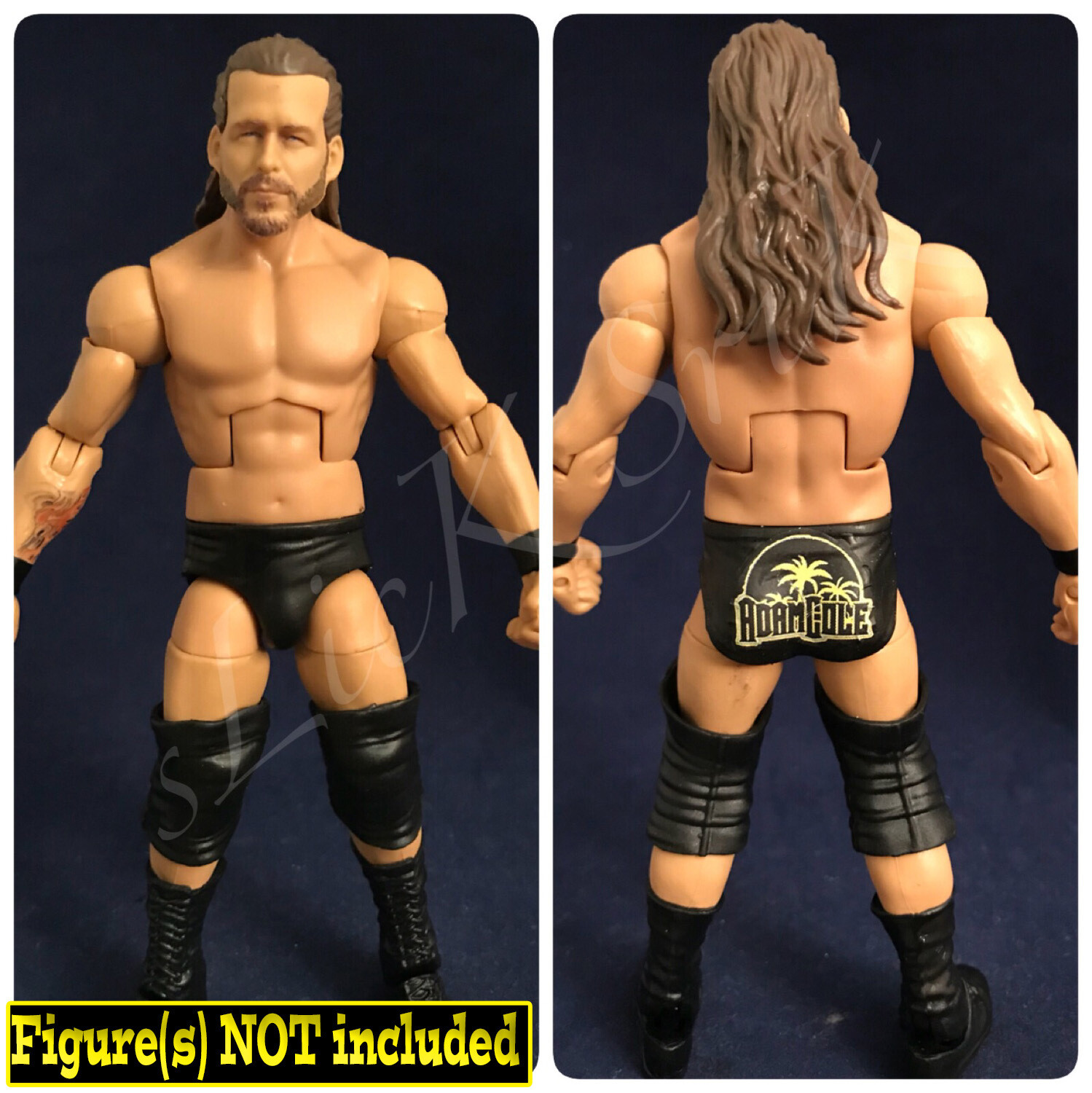 Adam Cole: ROH