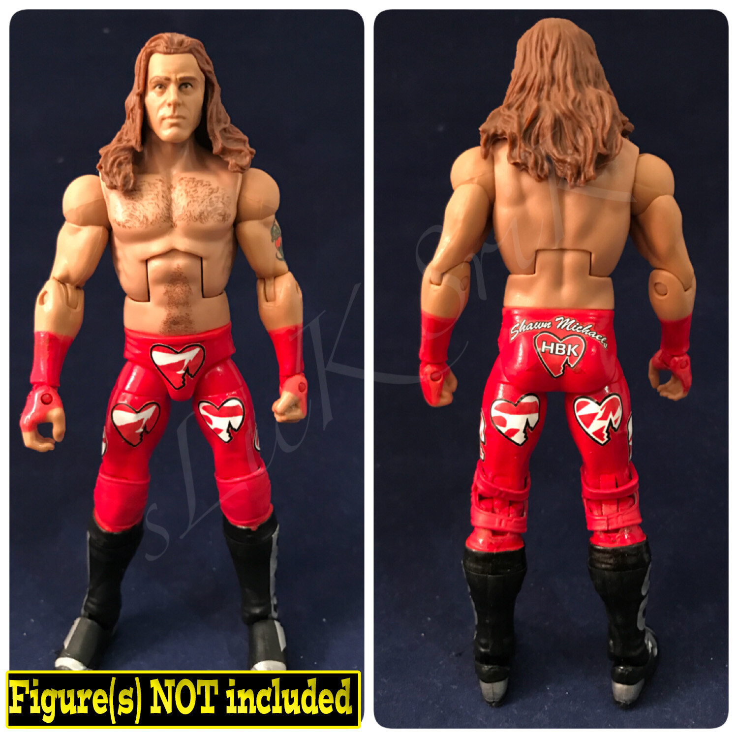 Shawn Michaels: WWE Wrestlemania 20 (2004)