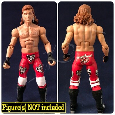 Shawn Michaels: WWE Royal Rumble (1995)