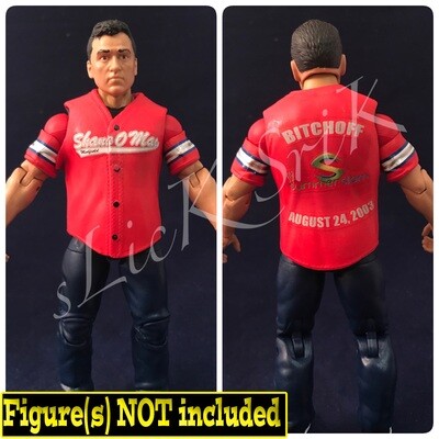 Shane McMahon: WWE Summerslam (2003)