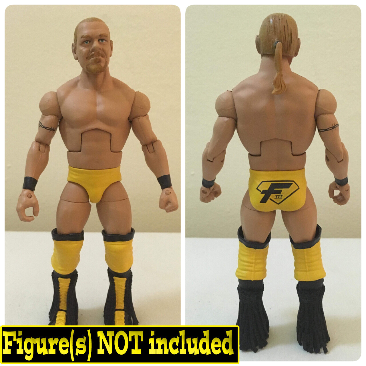 Shane Douglas v1