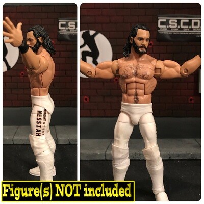 Seth Rollins: WWE Wrestlemania 36 (2020)