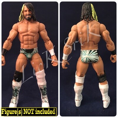 Seth Rollins: NXT Champion