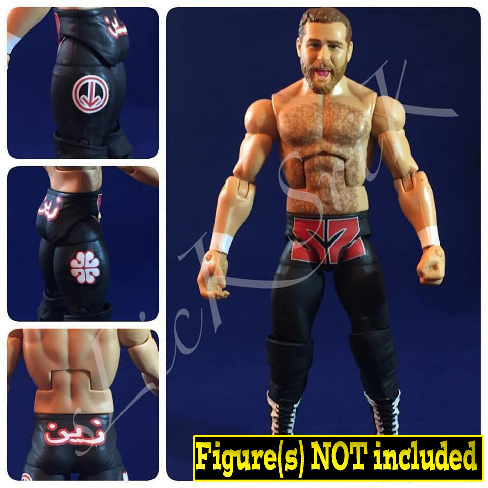 Sami Zayn: NXT TakeOver: R Evolution (2014)