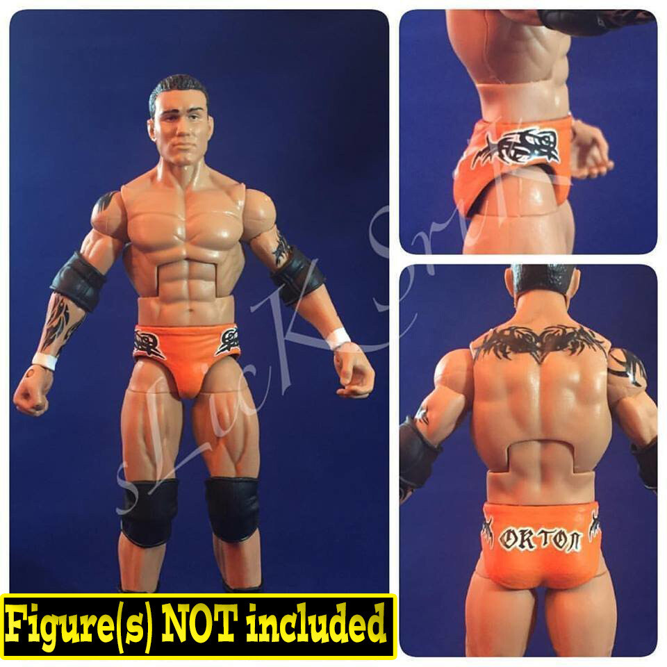 Randy Orton: WWE Summerslam (2004)
