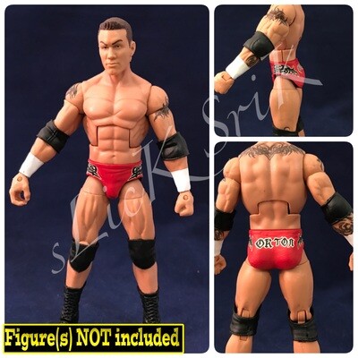 Randy Orton: WWE Backlash (2004)