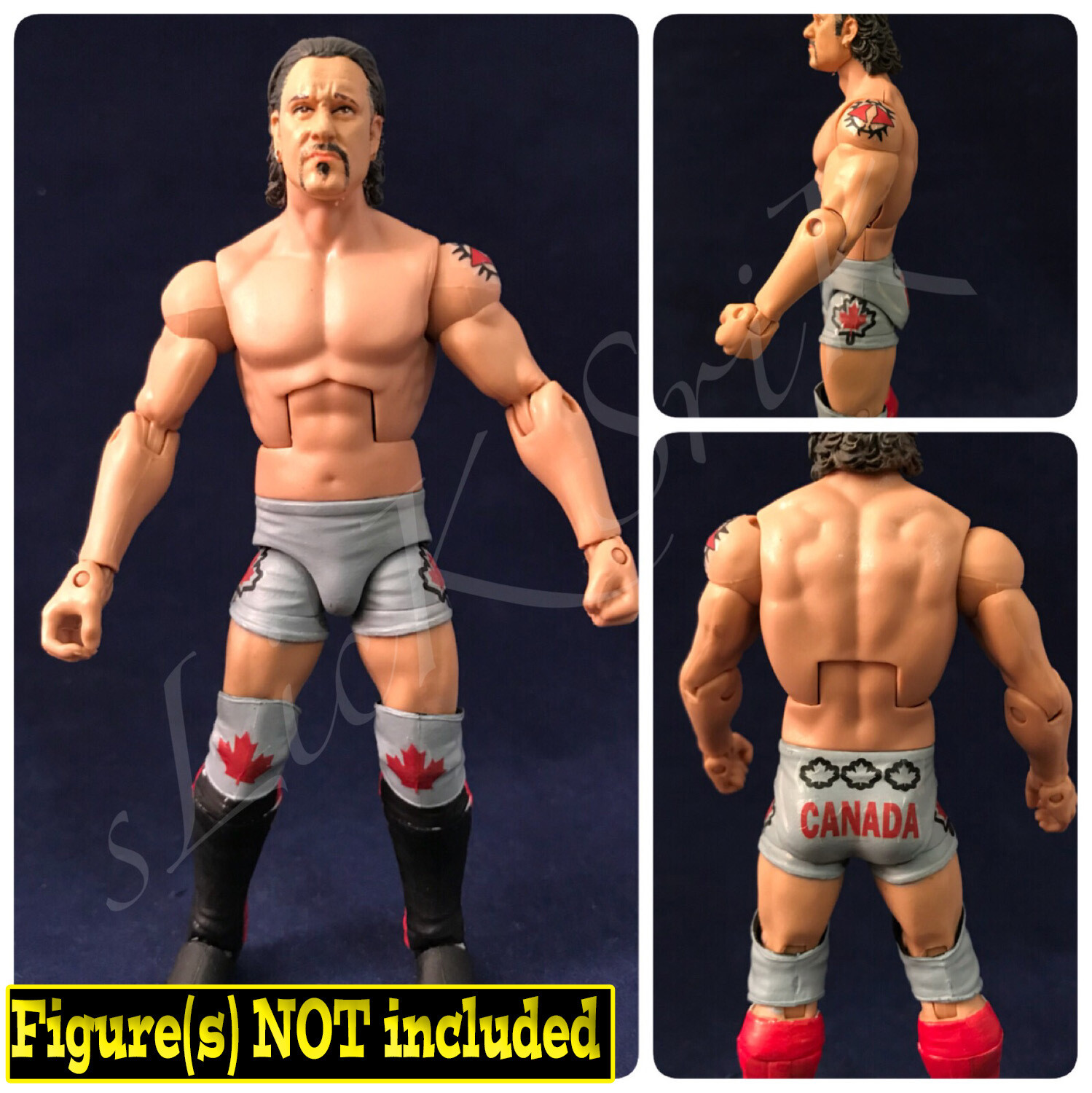 Petey Williams: TNA Team Canada