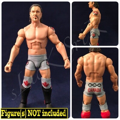 Petey Williams: TNA Team Canada